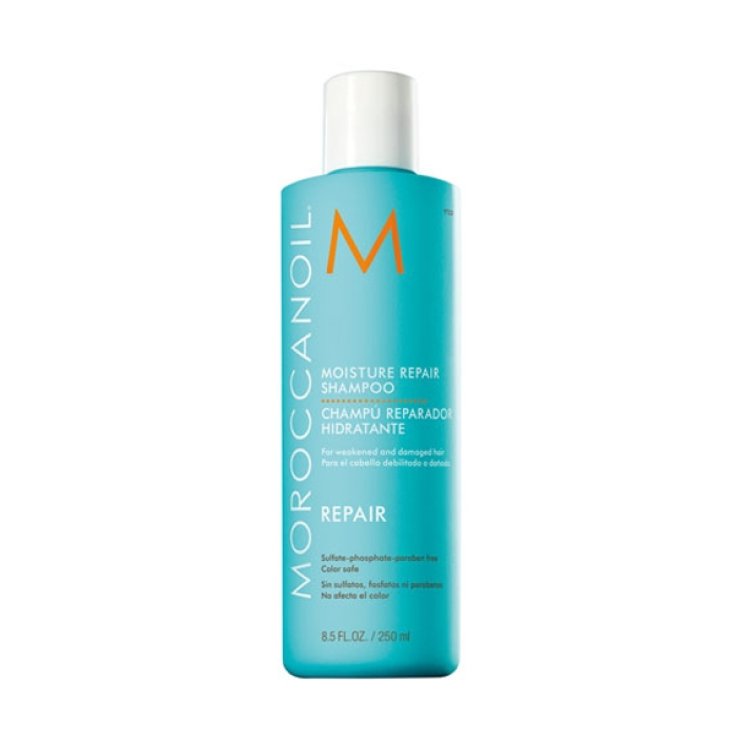 Repair Feuchtigkeitsspendendes Repair Shampoo 250ml