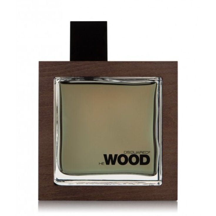 * DSQUARED ROCKY U EDT 100 V