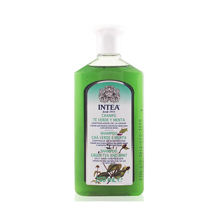 Camomila Intea Shampoo mit grünem Tee und Minze für fettiges Haar 250 ml