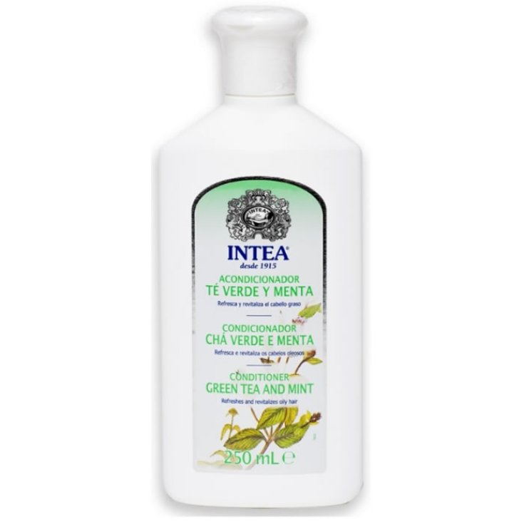Camomila Intea Conditioner mit Grünem Tee und Minze für fettiges Haar 250 ml