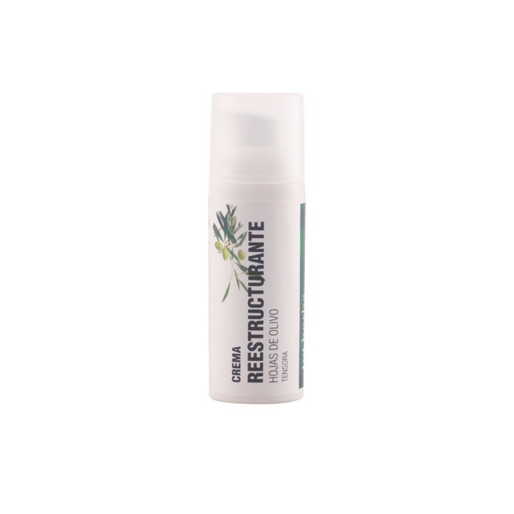 Tot Herba Aufbaucreme Olivenblätter 50ml