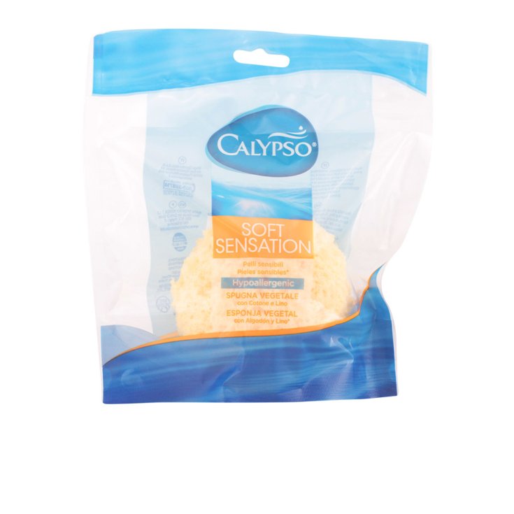 * SPONTEX CALYPSO KÖRPERSCHWAMM