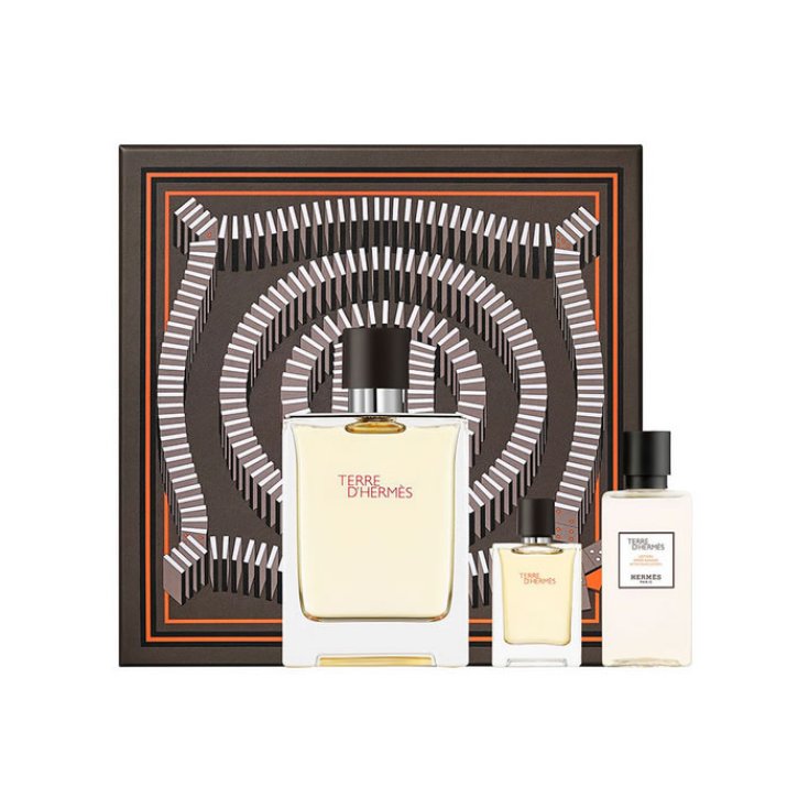 Terre D'hermes Eau de Toilette Spray 100ml Set 3 Teile 2018