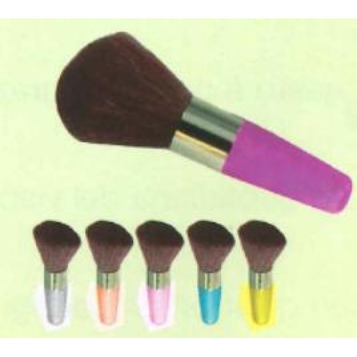 BIFFOLI BRUSH BLUSHER 102 KURZ EC