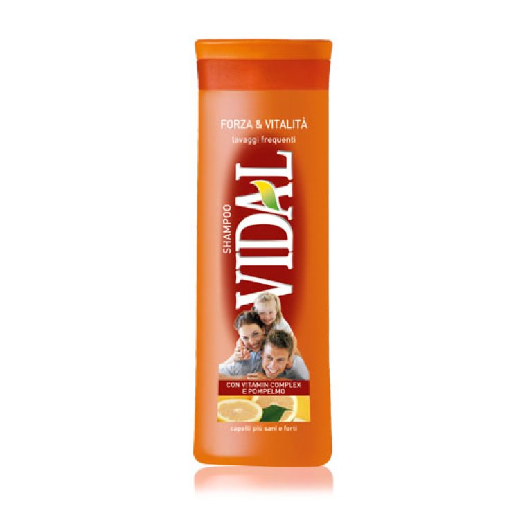 VIDAL SH STÄRKE UND VITALITÄT 250 ML