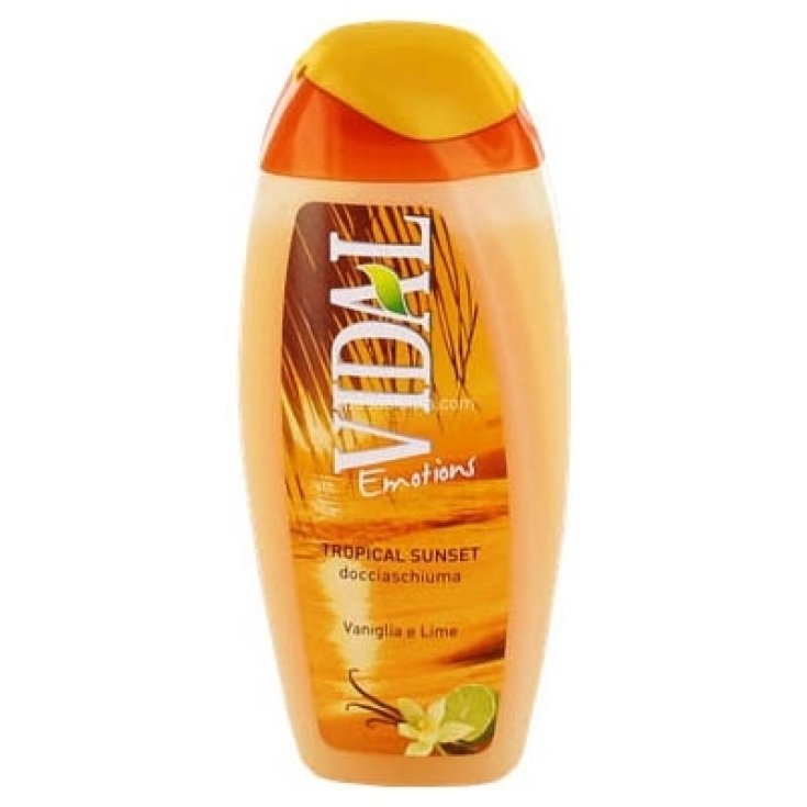 VIDAL D / S VANILLE UND LIME 250 ML