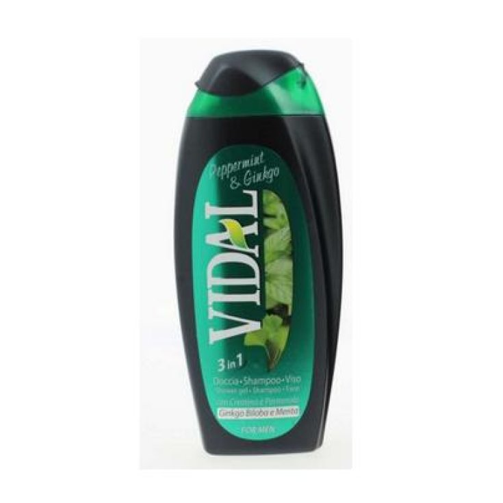 VIDAL D/S PEPPERMIT GINKGO 3IN1 25