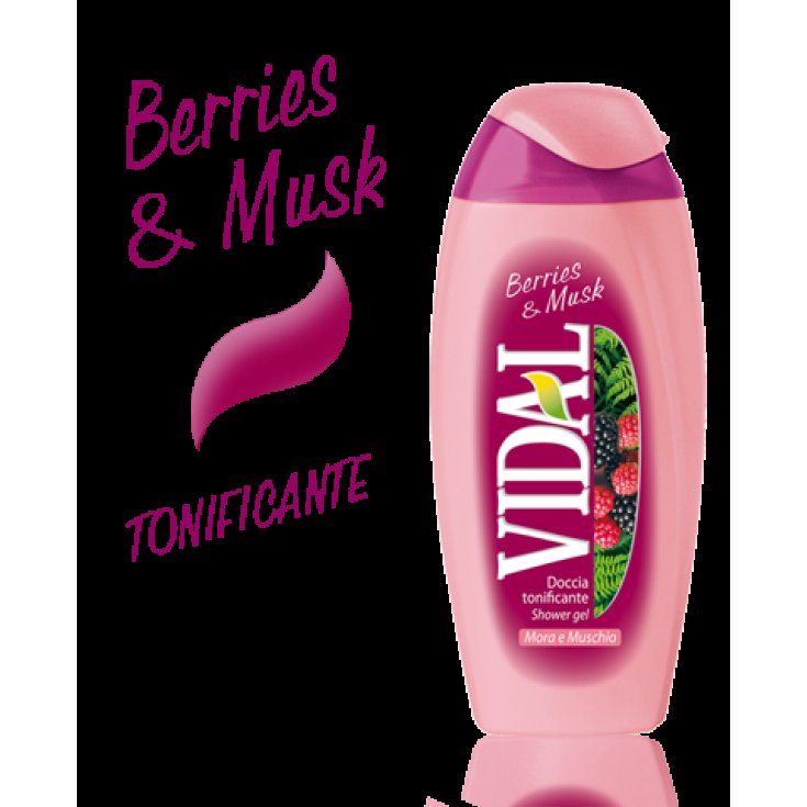 VIDAL D / S BROMBEERE & MOOS 250 ML
