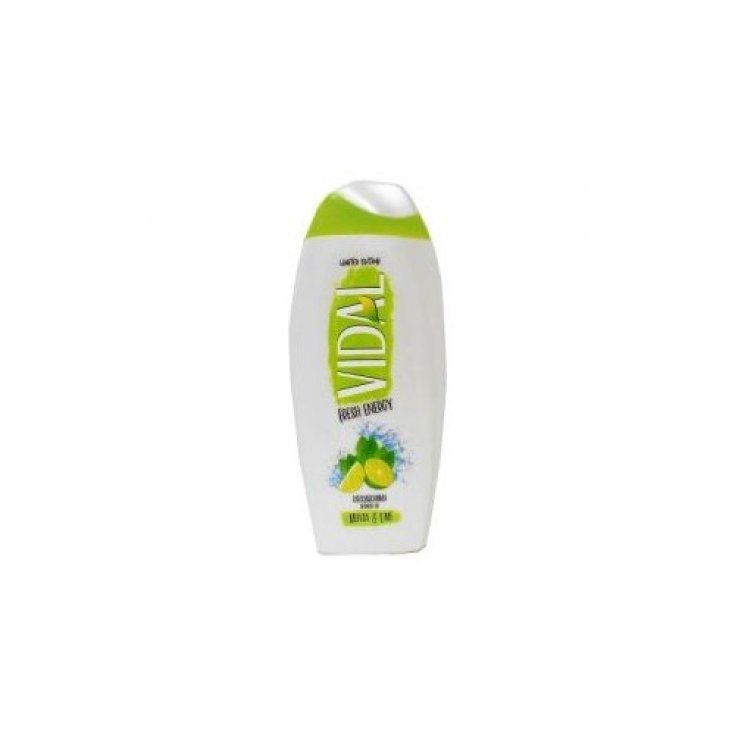 VIDAL D / S MINZE UND LIME 250ML