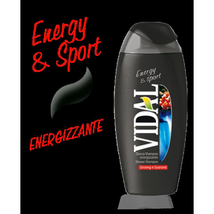 VIDAL D / S GINSENG 250 ML
