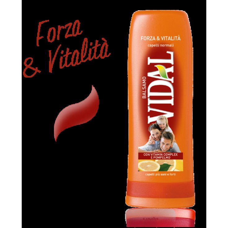 VIDAL FORZA & VITALER BALSAM 200 ML