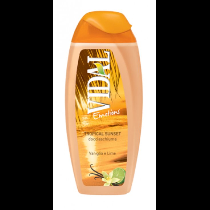VIDAL B / S VANILLE UND LIME 500 ML