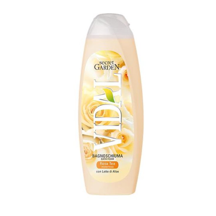 * VIDAL B / S ROSA TEE 500 ML