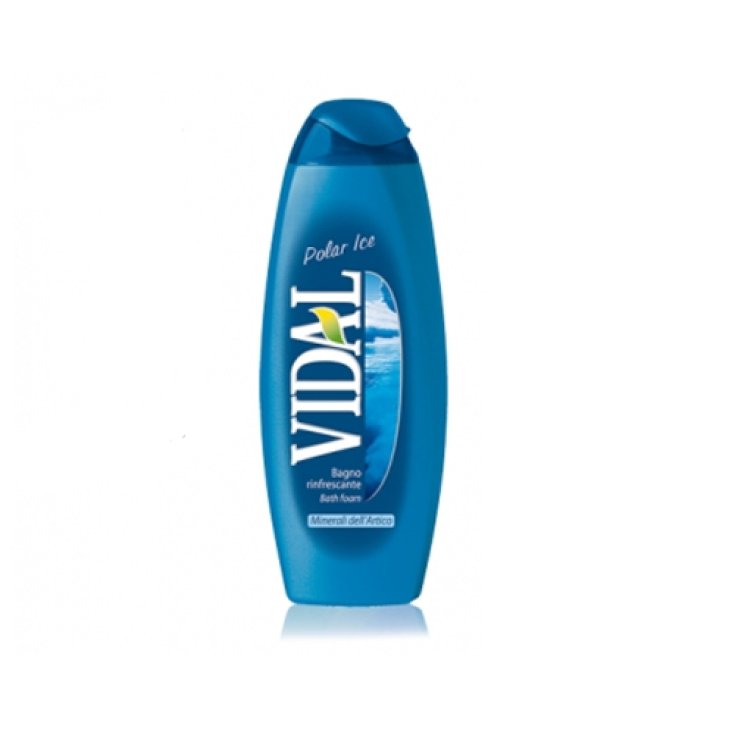 VIDAL B / S POLAR EIS 500 ML