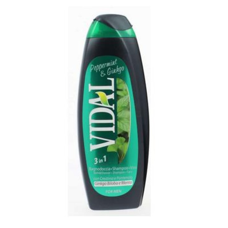 VIDAL B / S PFEFFERMINZ-GINKGO 3IN1 5