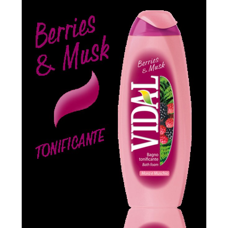VIDAL B / S BROMBEERE & MOOS 500 ML