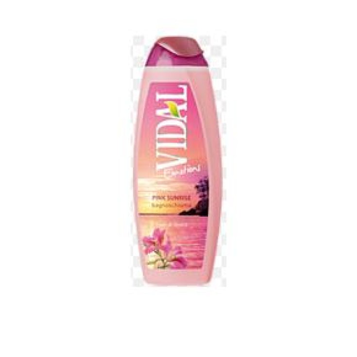 * VIDAL B / S HIBISKUSBLÜTEN 500 ML