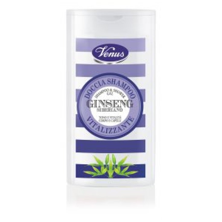 VENUS B / DS SIBIRISCHER GINSENG 500 M