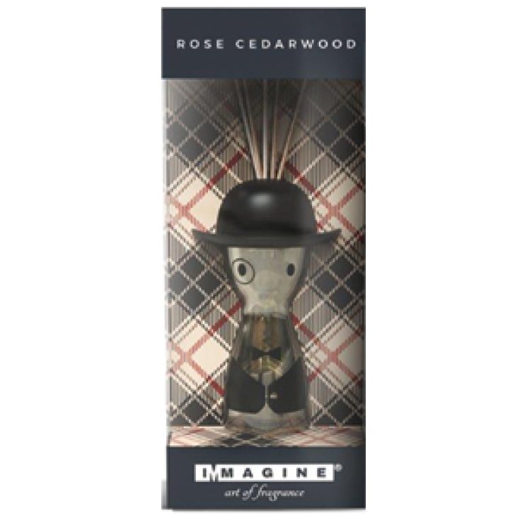 * ROSE CEDARWOOD WORLD MEN