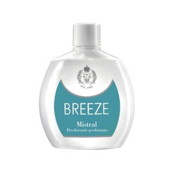BREEZE DEO SQUEEZE MISTRAL 100 ML