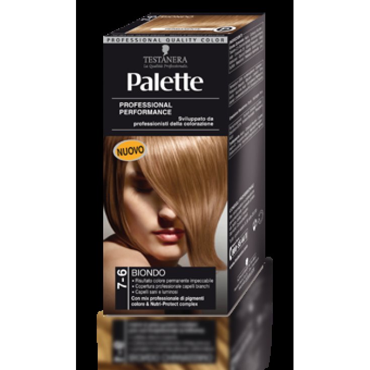 7-6 BLONDE KOPFPALETTE
