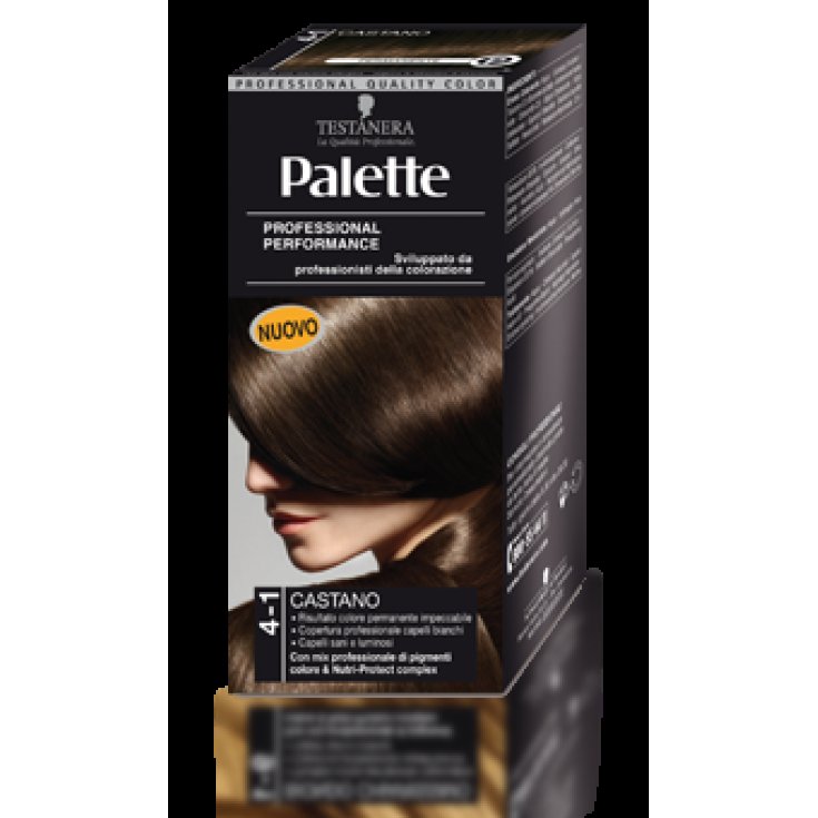 4-1 BRAUNE KOPFPALETTE