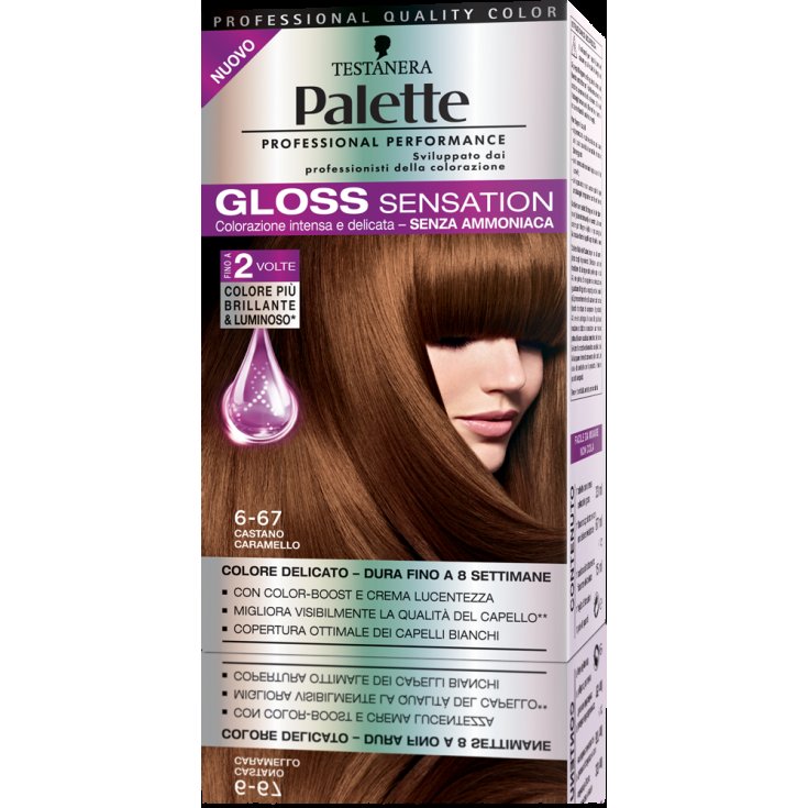 * PALETTE GLOSS SENSATION 6-67 C / AUTO