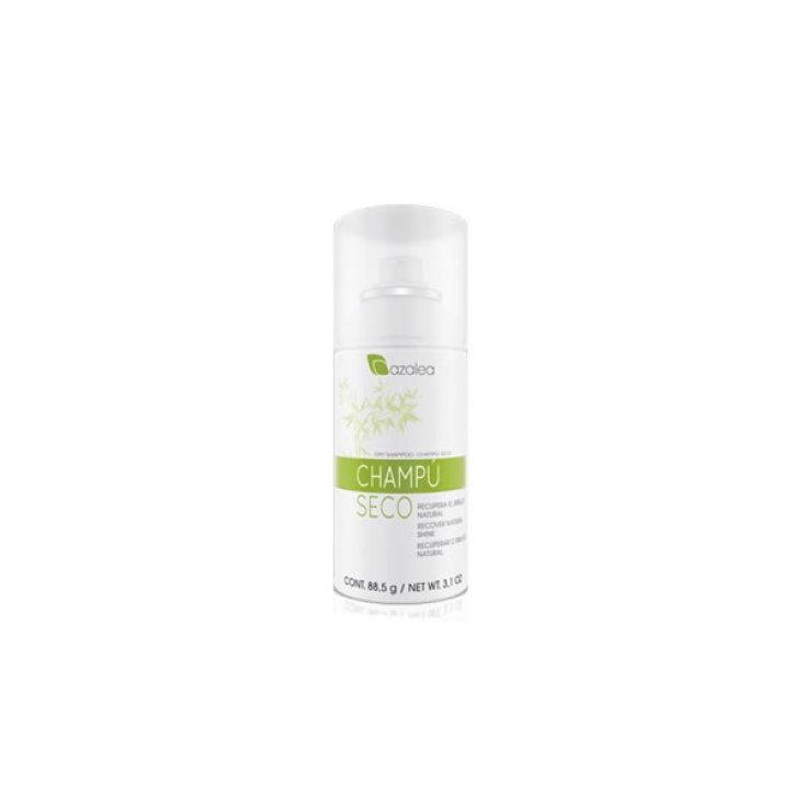 Azaleen-Bambus-Trockenshampoo 150ml
