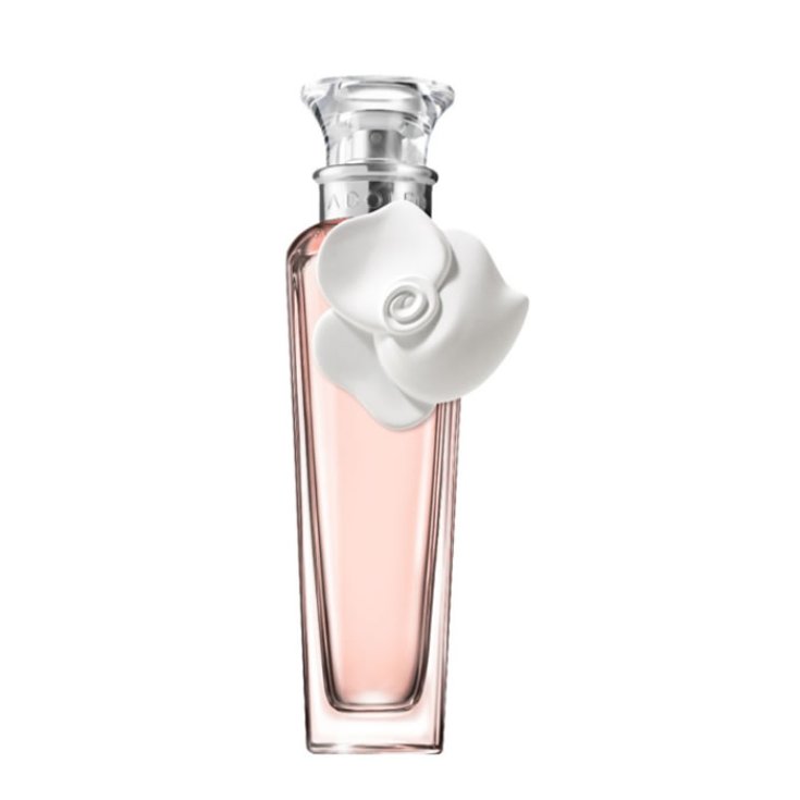 Adolfo Dominguez Agua Fresca De Rosas Blancas Eau de Toilette Spray 120 ml