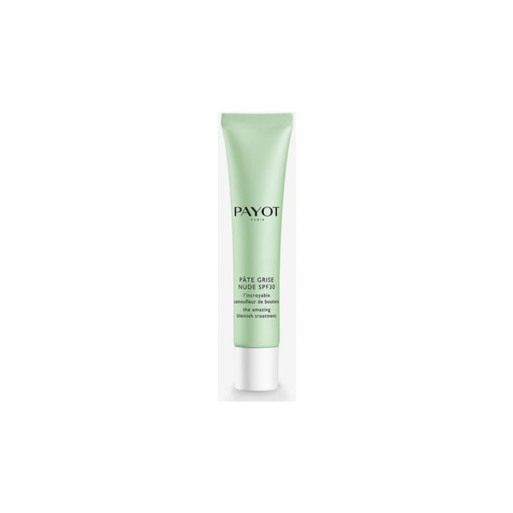 Payot Pastete Grise Soin Nude Spf30 40ml