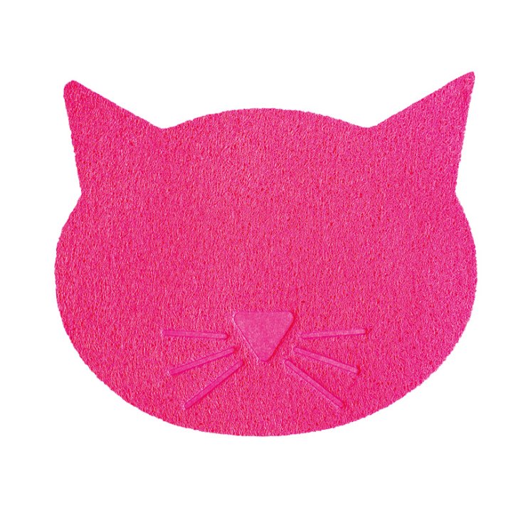 RECORD ROSA KATZE PVC-MATTE 43X37