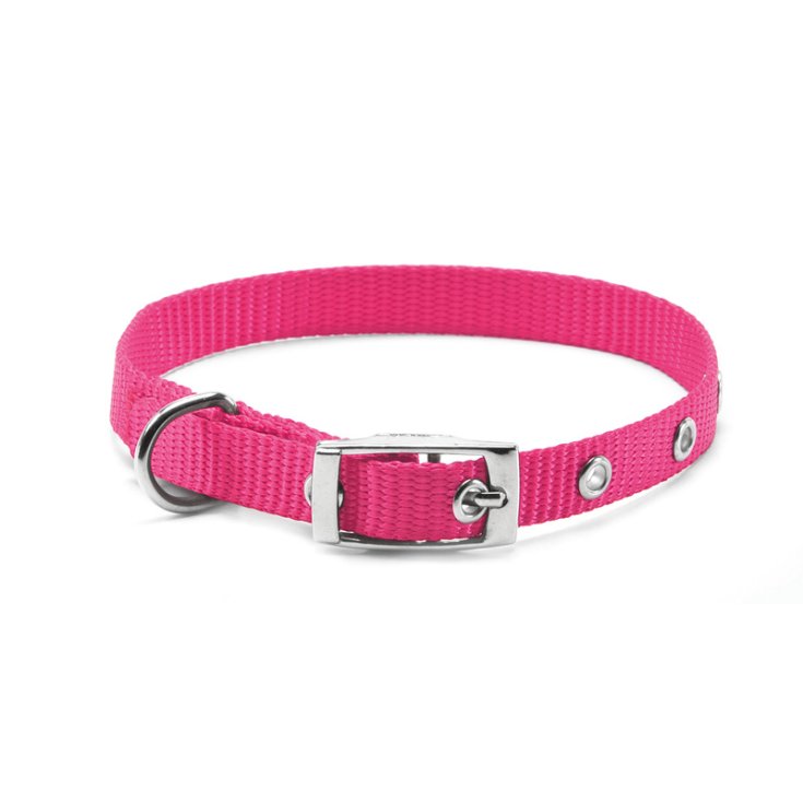 RECORD-NYLON-HALSBAND MIT ROSA SCHNALLE 1X2