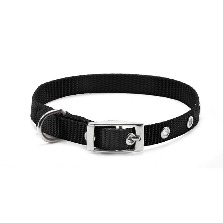 RECORD-HALSBAND NYLON MIT SCHNALLE SCHWARZ 1X2