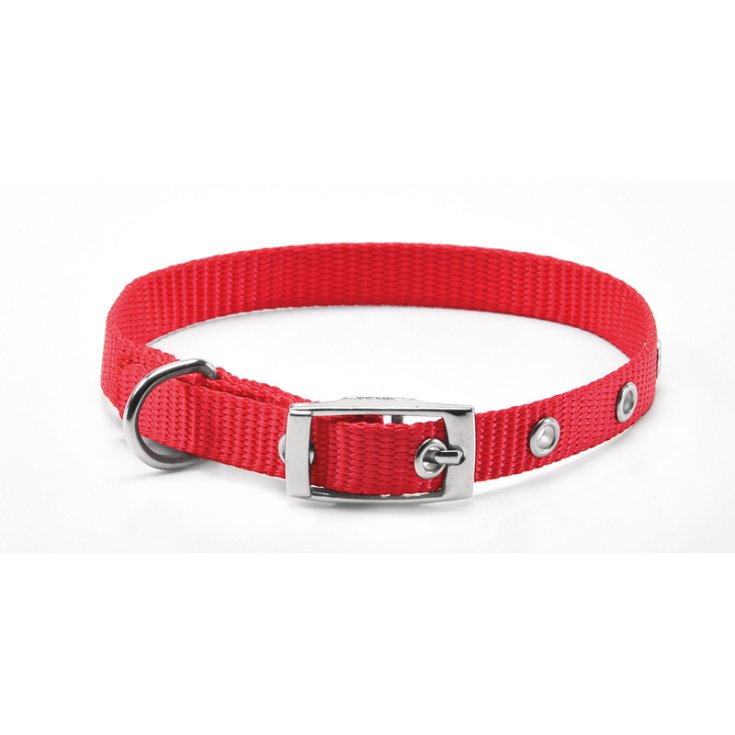 RECORD-NYLON-HALSBAND MIT ROTER SCHNALLE 1,
