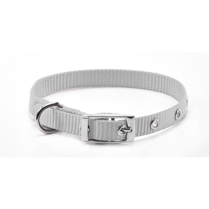 RECORD-NYLON-HALSBAND MIT GRAUER SCHNALLE 2