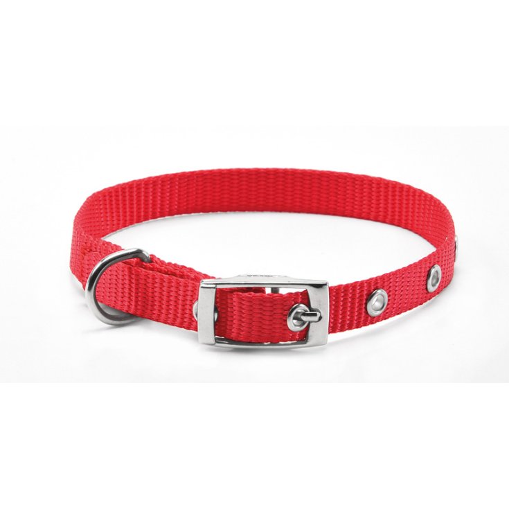 RECORD-NYLON-HALSBAND MIT ROTER SCHNALLE 2,