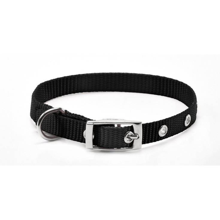 RECORD-NYLON-HALSBAND MIT SCHWARZER SCHNALLE 2,5
