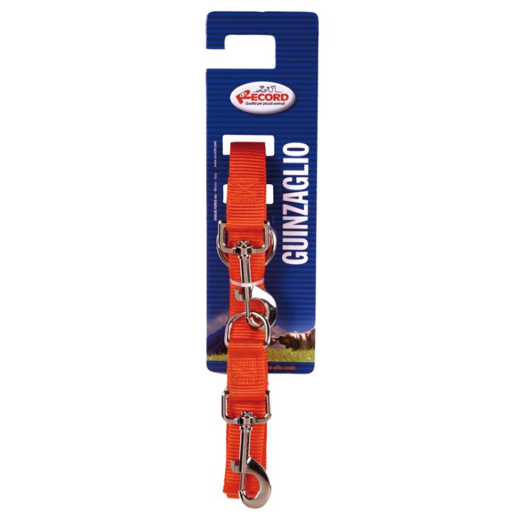 RECORD LEASH NYLON-TRAININGSPACK