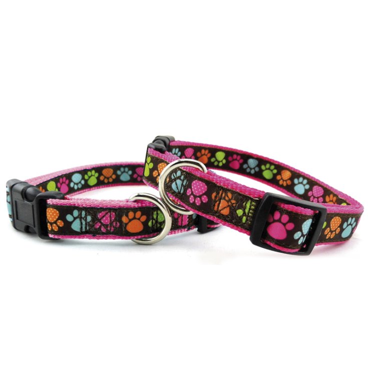 RECORD PAWS ROSA NYLON-HALSBAND 1,6X30