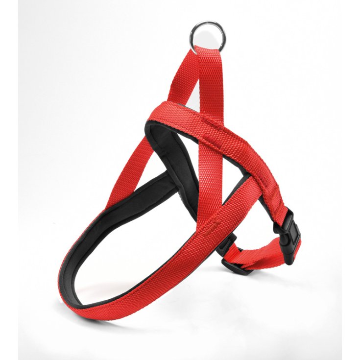 RECORD-GURT NYLON MIT NEOPREN ROT