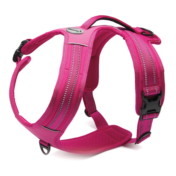 RECORD ACTION FUCHSIA HARNESS XS 43 49