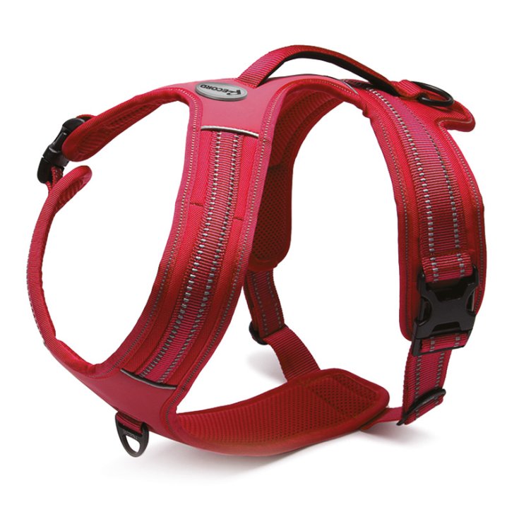 RECORD ACTION RED HARNESS XS 43 49 C