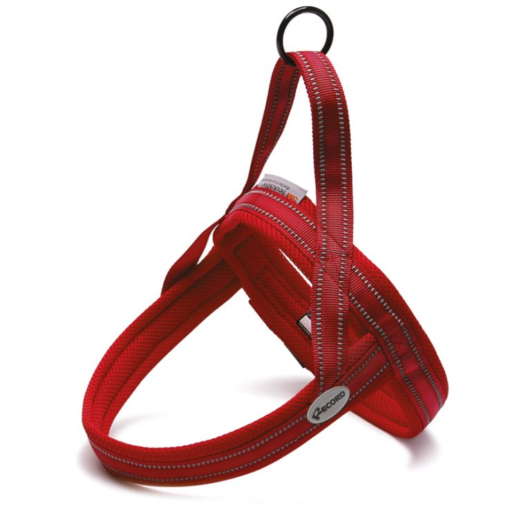 RECORD ACTION RED HARNESS XXS 42 50