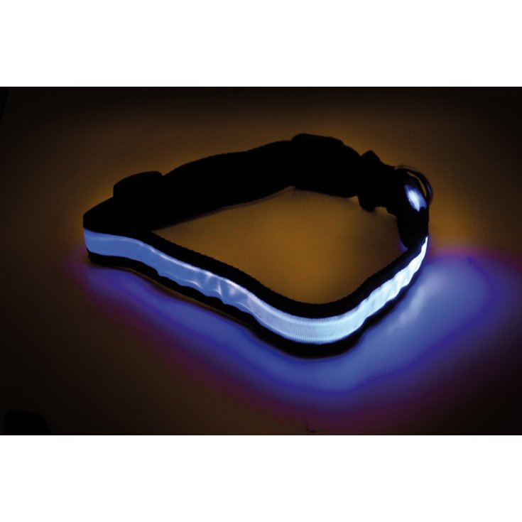 Record LED-Halsband, verschiedene Farben, L 2,