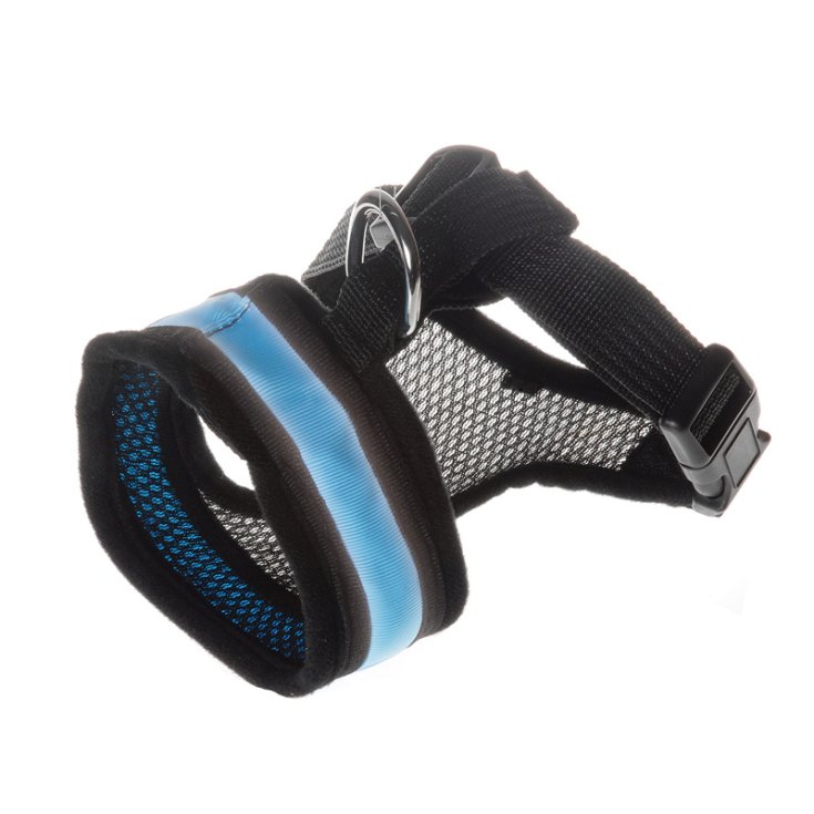 RECORD LED-GURT XS 26 X 32 43 CM
