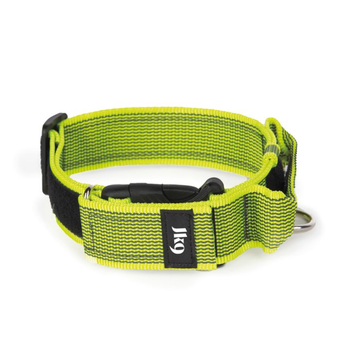 JULIUS-K9 FARBE & GRAUES HALSBAND MIT GRIFF