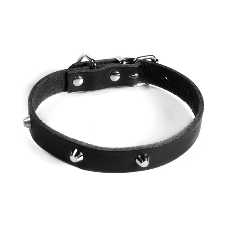 RECORD-HALSBAND MIT NIETEN COL.ECON. 55