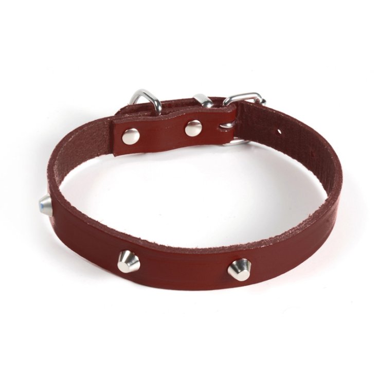 RECORD-HALSBAND MIT BRAUNEN NIETEN 4X65