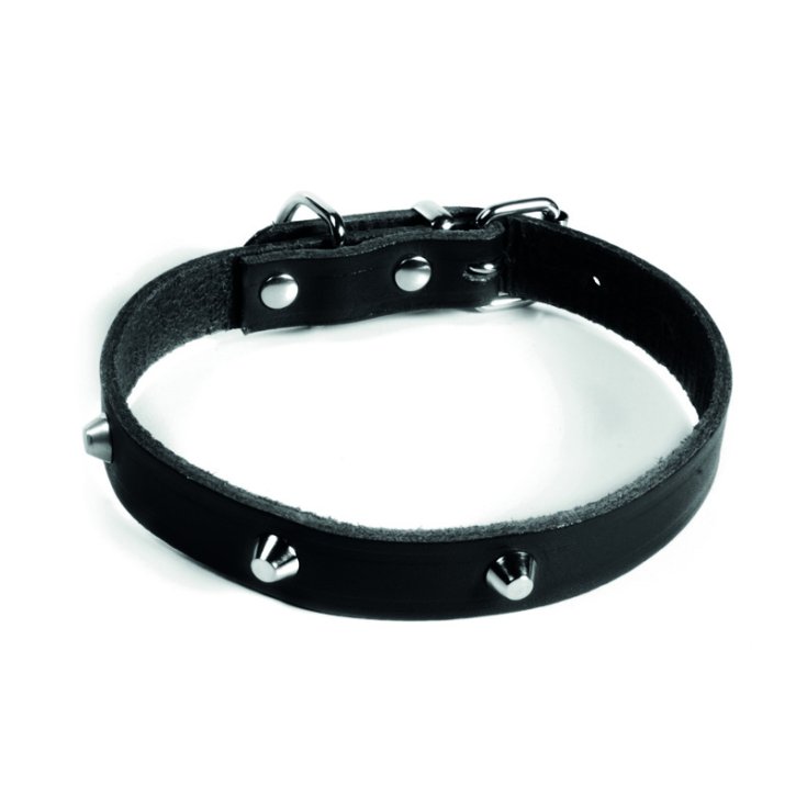 RECORD-HALSBAND MIT NIETEN SCHWARZ 4X65 CM