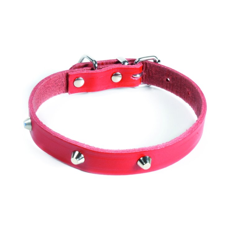 RECORD-HALSBAND MIT NIETEN ROT 4X65 CM
